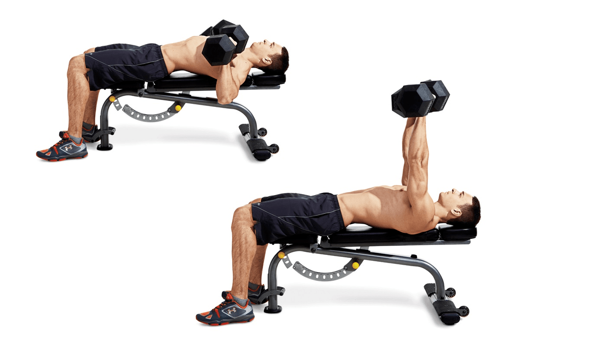 Dumbbell bench press for the purpose of training the upper body